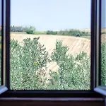 Tenuta Belvedere *