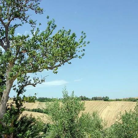 Alloggio per agriturismo Tenuta Belvedere *