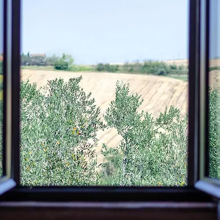 Tenuta Belvedere *