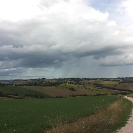 Tenuta Belvedere Farma *